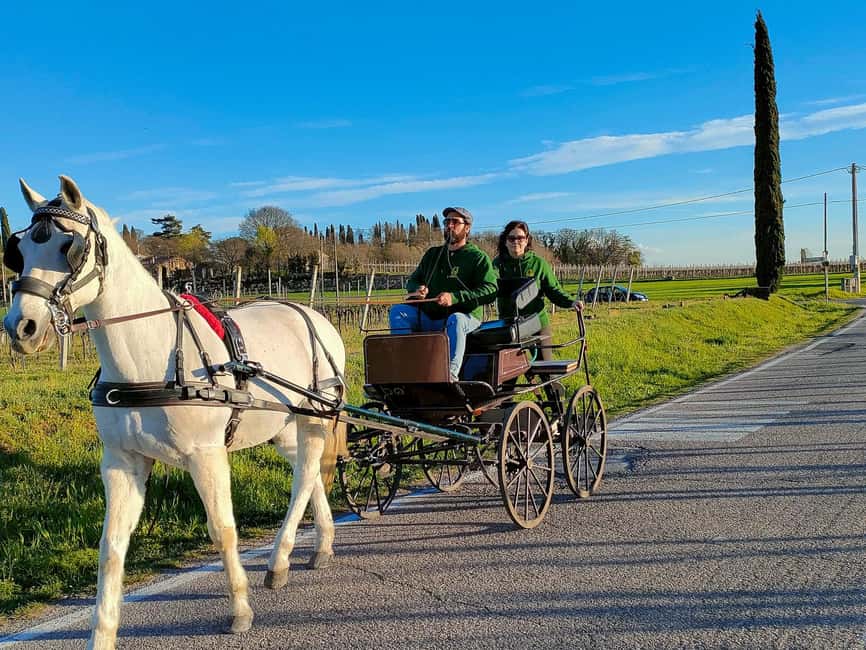 Lazise: horse carriage tour with tasting of local products - Why the horse carriage matters