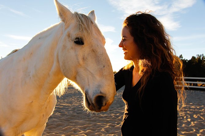 Leadership & Mindfulness Retreat with Horses - Individual & Group - Key points to know before you book