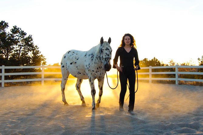 Leadership & Mindfulness Retreat with Horses - Individual & Group - Meeting the horses north of Boulder