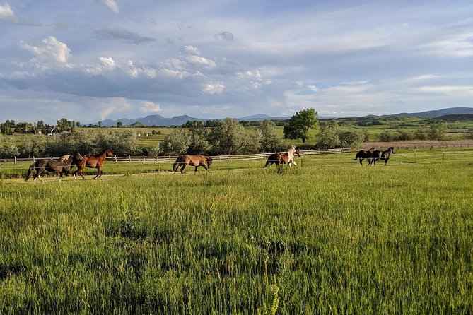 Leadership & Mindfulness Retreat with Horses - Individual & Group - What individuals and families can take from it