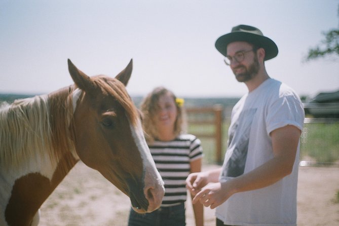 Leadership & Mindfulness Retreat with Horses - Individual & Group - How the corporate session works