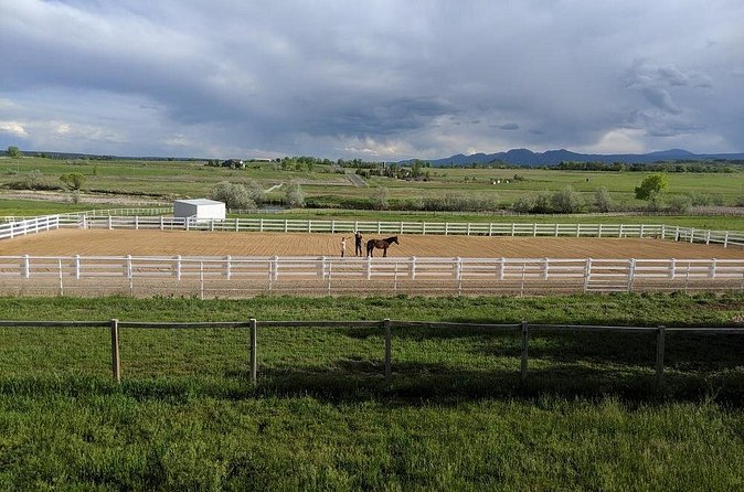 Leadership & Mindfulness Retreat with Horses - Individual & Group - Indoor and outdoor spaces, with weather in mind