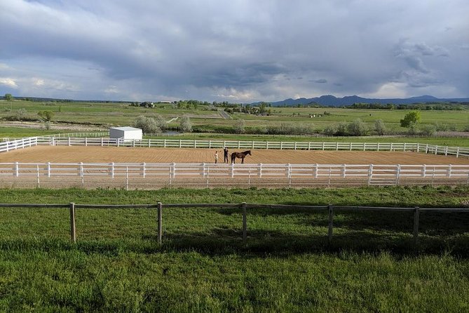 Leadership & Mindfulness Retreat with Horses - Individual & Group - Timing, group size, and value