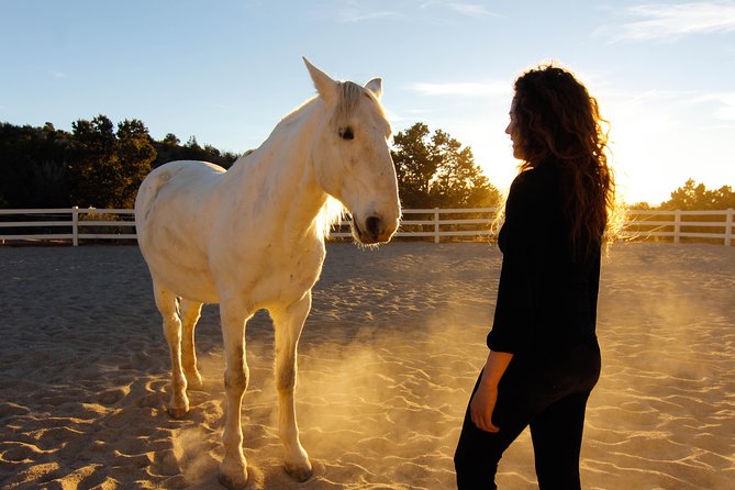 Leadership & Mindfulness Retreat with Horses - Individual & Group - The first 15 minutes: settling your attention