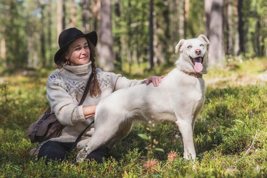 Levi: Horse and Husky Farm Visit with Juice and Cookies - Key points to know before you book