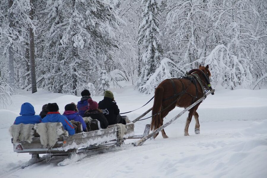 Levi, Polar Lights Tours: One Horse Open Sleigh Ride - A calm way to meet Lapland after dark
