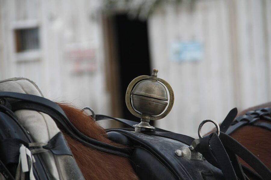 Levi, Polar Lights Tours: One Horse Open Sleigh Ride - Meeting the bus at Hissitie 11