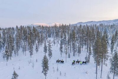 Levi: Riding Trek with Icelandic Horses