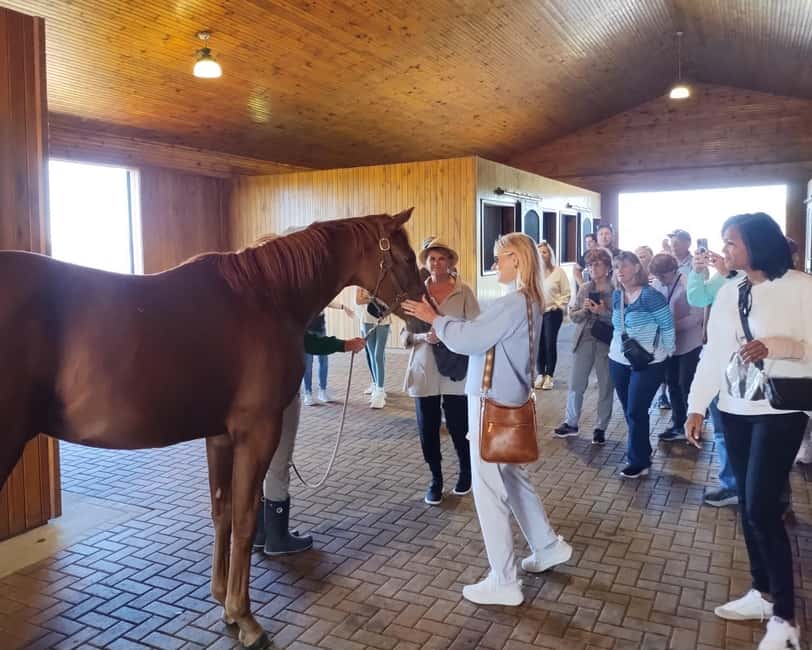 Lexington: Thoroughbred Horse Farm Tour and Scenic Bluegrass - The 8:30 or 12:30 departure