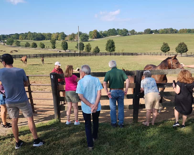 Lexington: Thoroughbred Horse Farm Tour and Scenic Bluegrass - Keeneland, when the schedule allows
