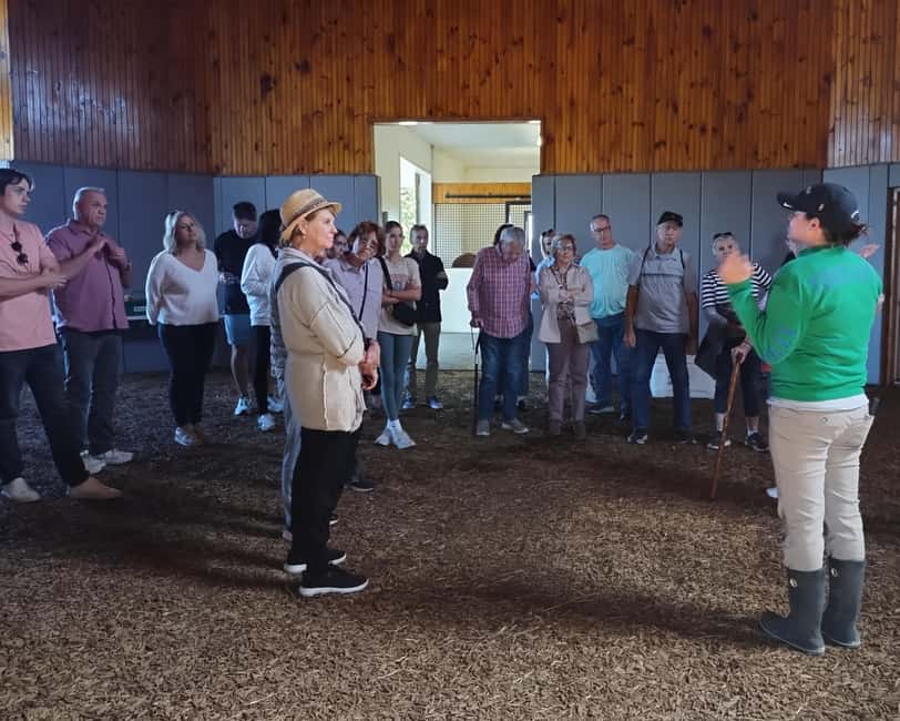 Lexington: Thoroughbred Horse Farm Tour and Scenic Bluegrass - Working thoroughbred farms and close horse encounters
