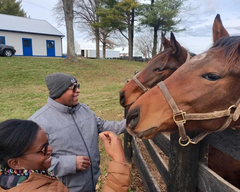 Lexington: Thoroughbred Horse Farm Tour and Scenic Bluegrass - Timing, weather, and comfort