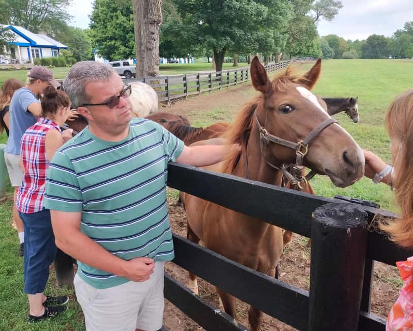 Lexington: Thoroughbred Horse Farm Tour and Scenic Bluegrass - The drive through the Bluegrass region