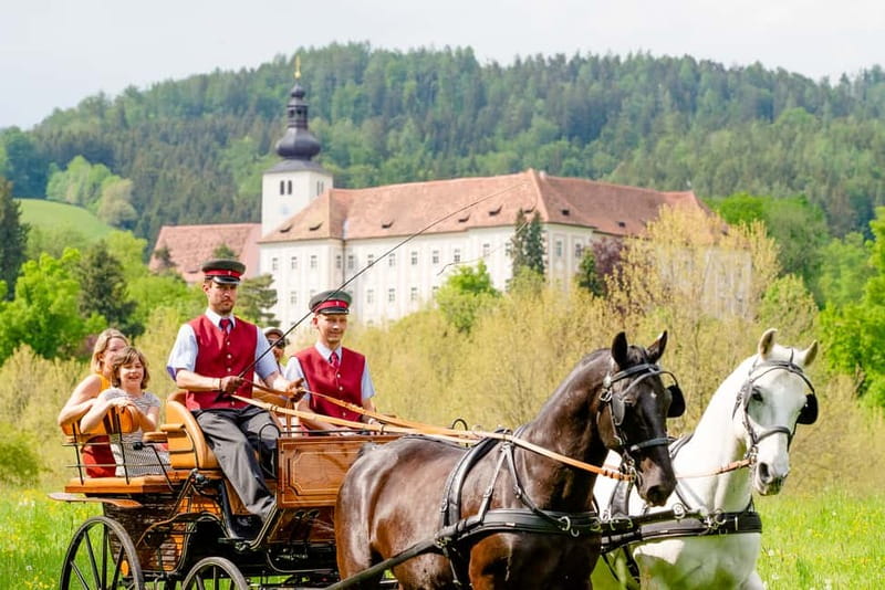 Lipizzaner Stud Piber: Guided Tour - Meeting the Lipizzaners at Piber Stud