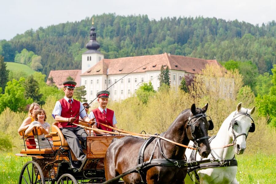Lipizzaner Stud Piber: Guided Tour - The museum and cinema put the horses in context
