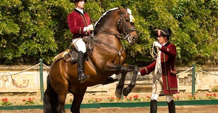 Lisbon: Morning of Equestrian Art with Lusitano Horses - What you actually see during the morning