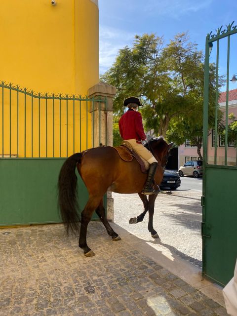 Lisbon: Morning of Equestrian Art with Lusitano Horses - A practical plan for your morning
