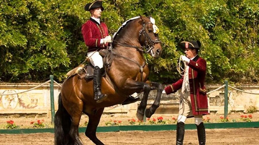 Lisbon: Morning of Equestrian Art with Lusitano Horses - Why Lusitano horses matter here