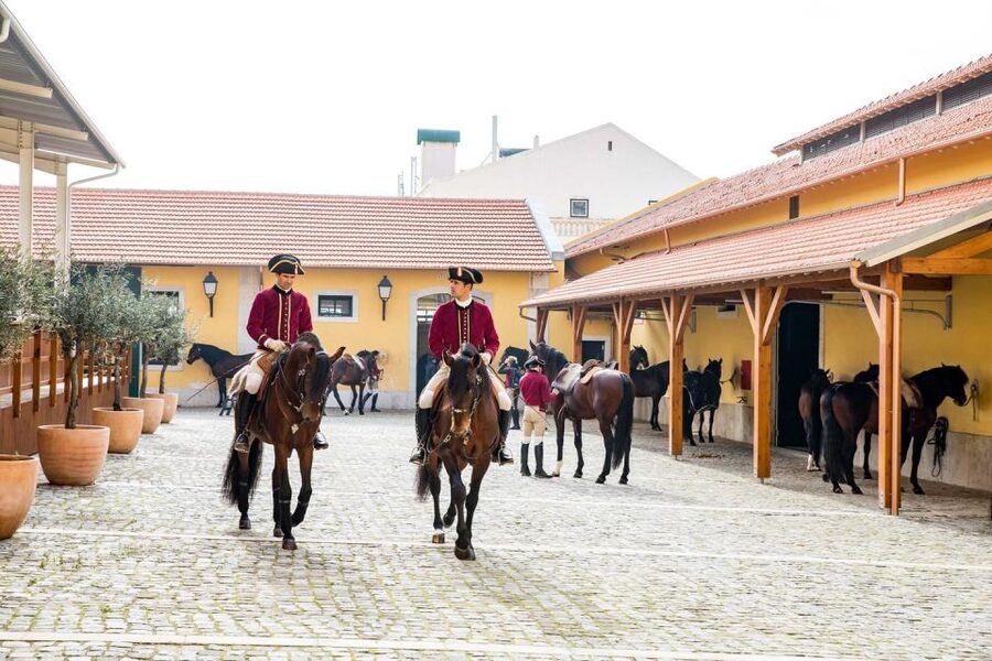 Lisbon: Morning of Equestrian Art with Lusitano Horses - The ticket issue that can make or break the visit
