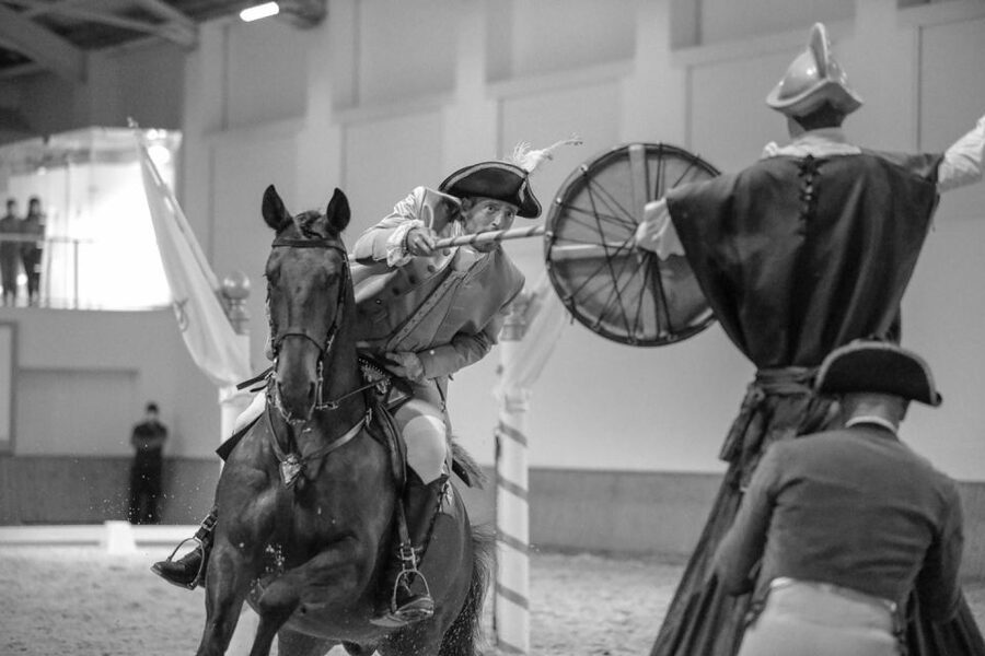 Lisbon: Morning of Equestrian Art with Lusitano Horses - Who will enjoy this most?
