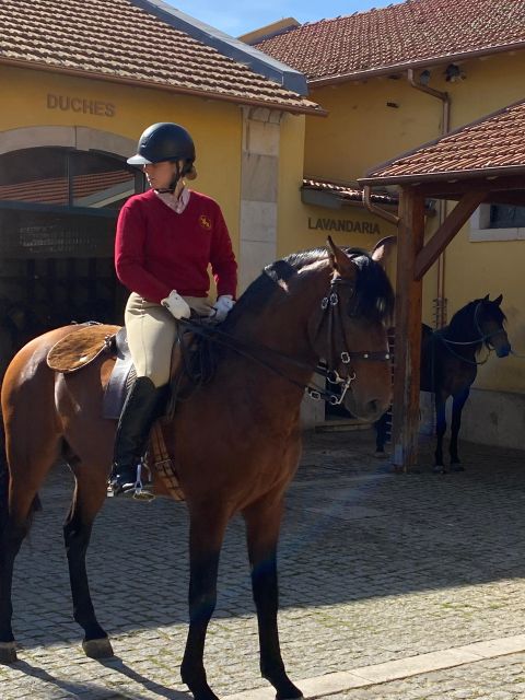 Lisbon: Morning of Equestrian Art with Lusitano Horses - What the critical comments reveal about the pace