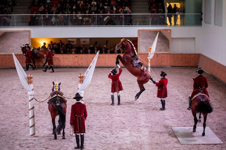 Lisbon: Morning of Equestrian Art with Lusitano Horses - The Nora Patio and the riding ring
