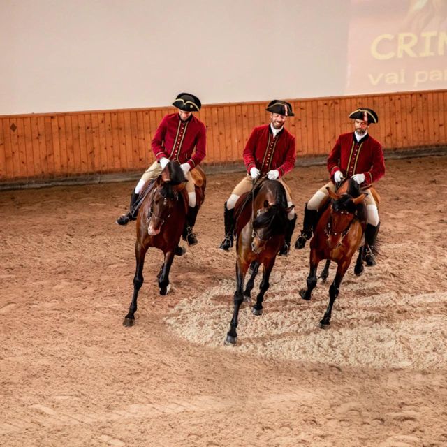 Lisbon: Portuguese Riding School Trainig with Lusitano Horse - Why this Lisbon horse experience is different