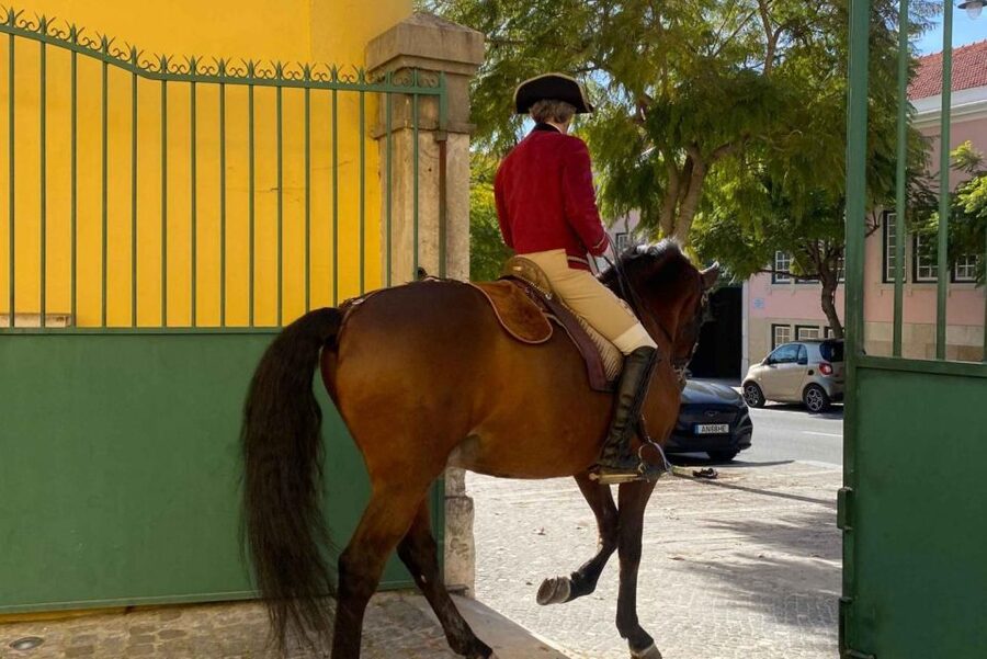 Lisbon: Portuguese Riding School Trainig with Lusitano Horse - Watching warm-ups instead of only the final show