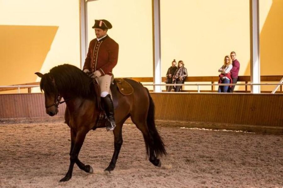 Lisbon: Portuguese Riding School Trainig with Lusitano Horse - What the audio guide adds