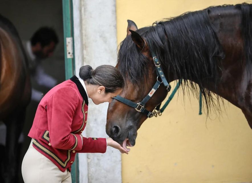 Lisbon: Portuguese Riding School Trainig with Lusitano Horse - Is $17 good value?