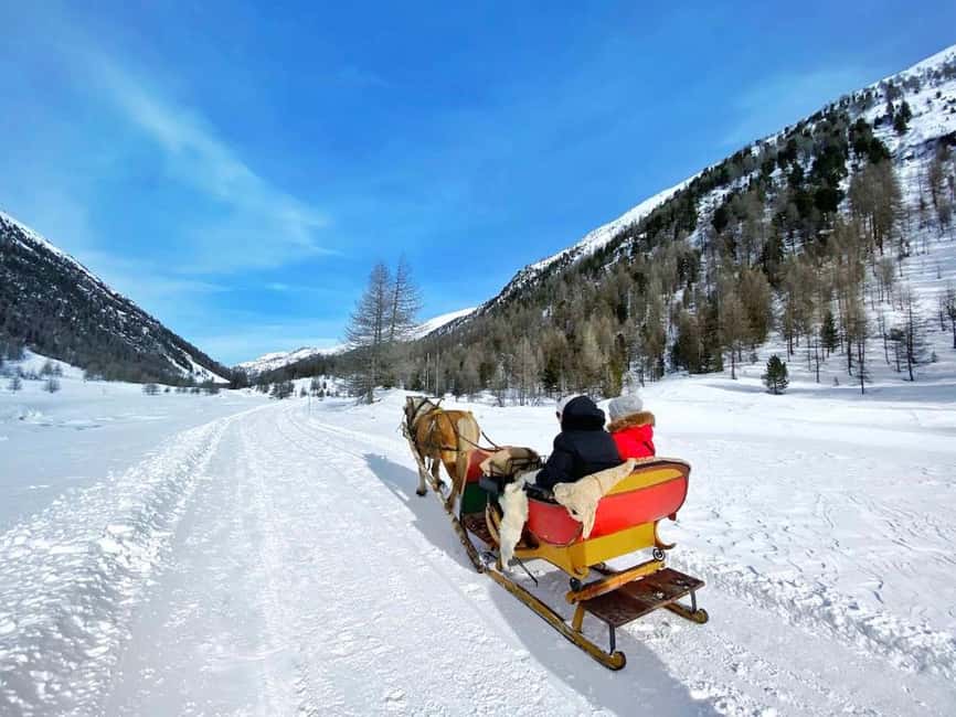 Livigno: Horse-Drawn Sleigh Ride with Blankets - Key points to know before you book
