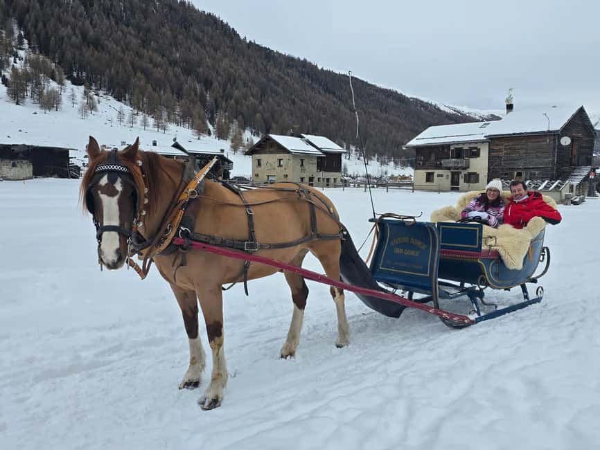 Livigno: Horse-Drawn Sleigh Ride with Blankets - The best part is the Alpine atmosphere