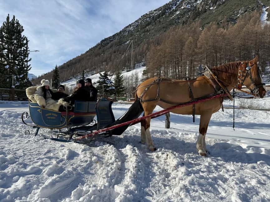 Livigno: Horse-Drawn Sleigh Ride with Blankets - What the 30-minute itinerary feels like