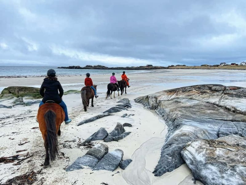 Lofoten: Guided Horse Riding Tour Over Hov and Hovsund - Key points at a glance