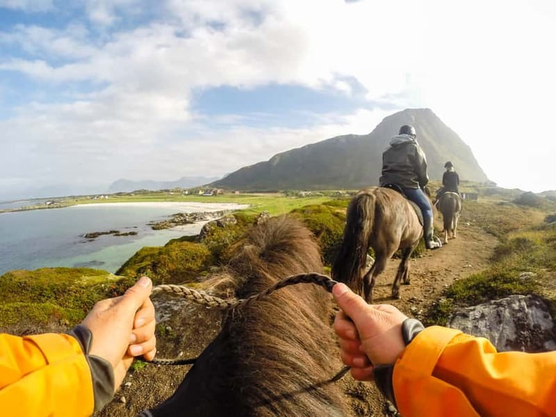 Lofoten: Guided Horse Riding Tour Over Hov and Hovsund - Starting at Hov Gård on Gimsøya