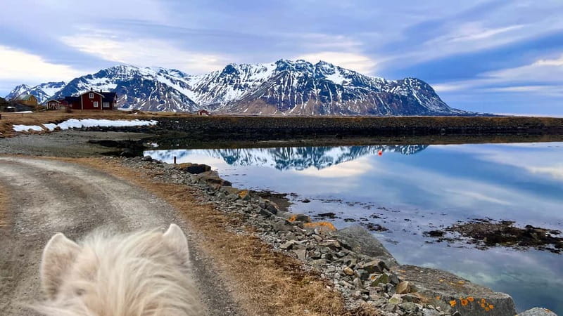 Lofoten: Guided Horse Riding Tour Over Hov and Hovsund - Climbing toward Hovsund