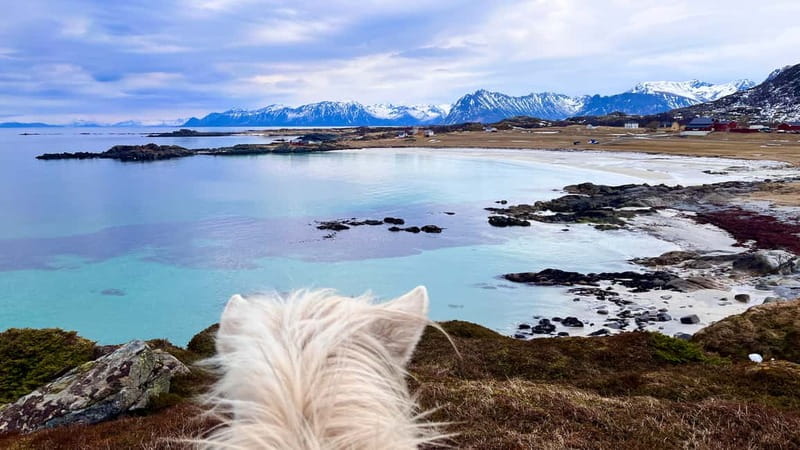 Lofoten: Guided Horse Riding Tour Over Hov and Hovsund - Viking remains and fish-drying racks