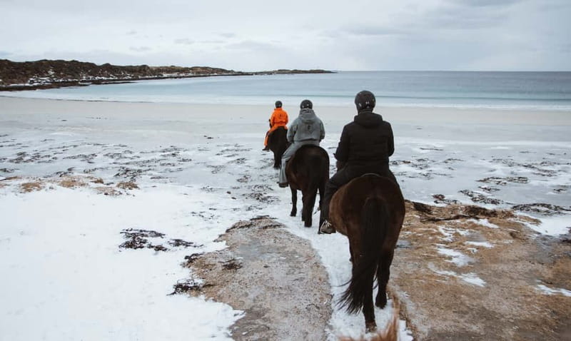 Lofoten: Guided Horse Riding Tour Over Hov and Hovsund - Returning with calm horses and coastal views