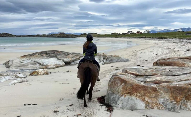 Lofoten: Guided Horse Riding Tour Over Hov and Hovsund - What $145 buys you