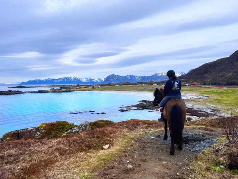 Lofoten: Guided Horse Riding Tour Over Hov and Hovsund - Hov beach at a horse’s pace
