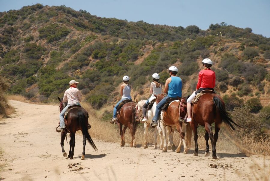 Los Angeles: 2-Hour Hollywood Trail Horseback Riding Tour - Starting at Sunset Ranch on Beachwood Drive