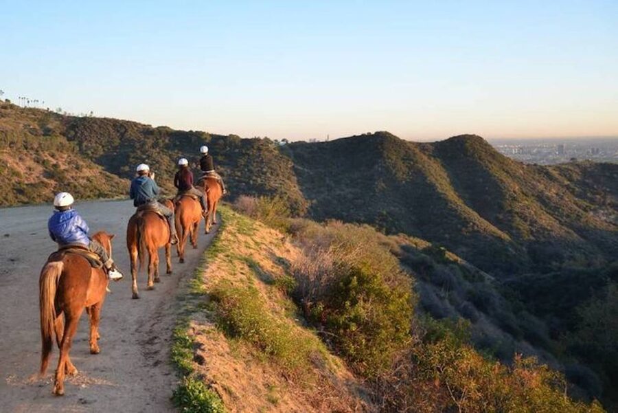 Los Angeles: 2-Hour Hollywood Trail Horseback Riding Tour - The Hollywood sign from horseback