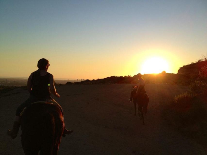 Los Angeles: 2-Hour Hollywood Trail Horseback Riding Tour - Practical tips before you book