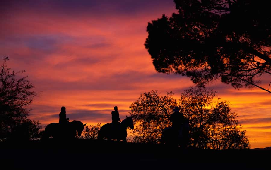 Los Angeles: Evening 2-Hour Hollywood Horseback Riding Tour - Riding above Los Angeles instead of through it
