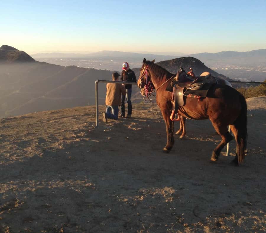 Los Angeles: Evening 2-Hour Hollywood Horseback Riding Tour - Starting at Sunset Ranch Hollywood