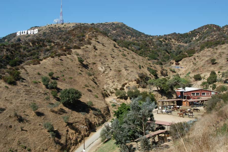 Los Angeles: Evening 2-Hour Hollywood Horseback Riding Tour - Griffith Park views from the saddle