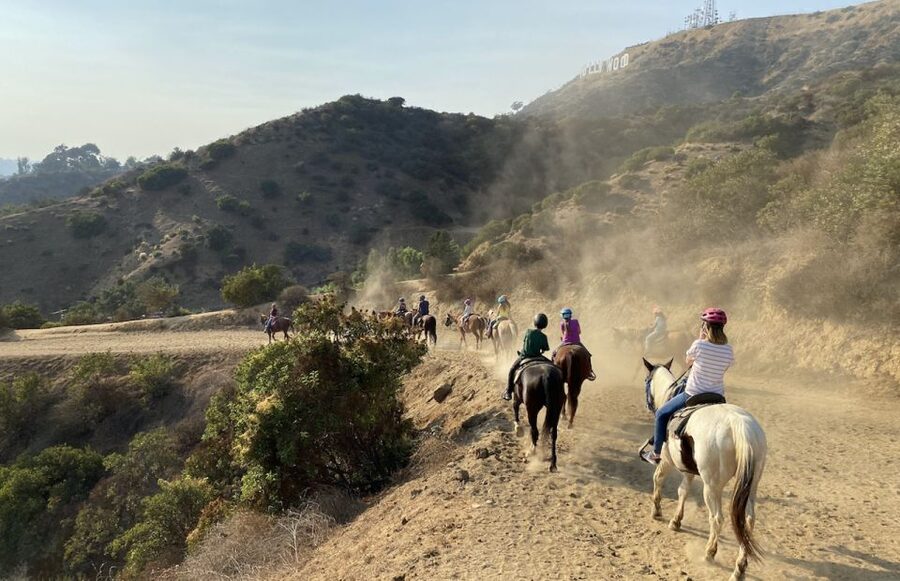 Los Angeles: Mulholland Trail Horseback Riding Tour - What happens during the one-hour ride