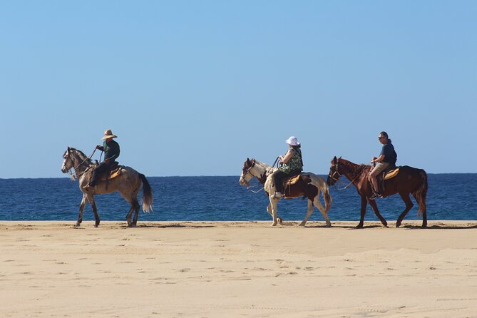 Los Cabos ATV and Pacific Horseback Riding Combo Tour - Is $111.43 a fair price?