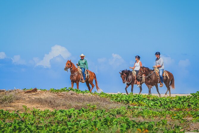 Los Cabos Combo: ATV + Horseback Riding - Booking details that can save you trouble