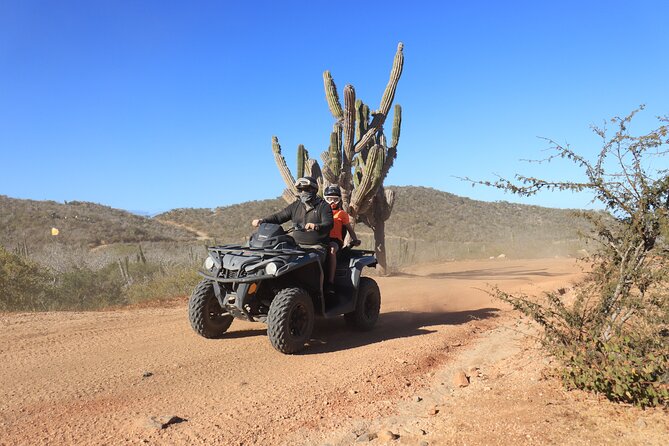Los Cabos - COMBO Horseback Riding & ATV Tour - What the $175 price really covers